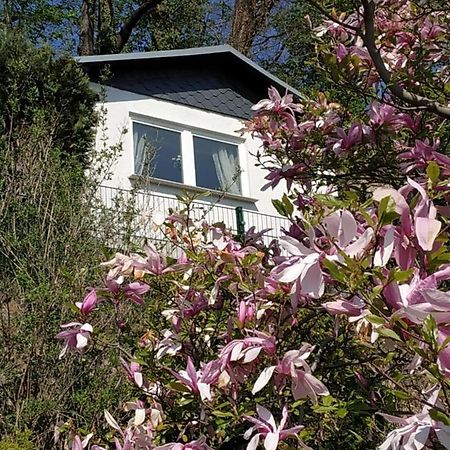 Das Ferienhaus Mit Aussicht Pirna Kültér fotó