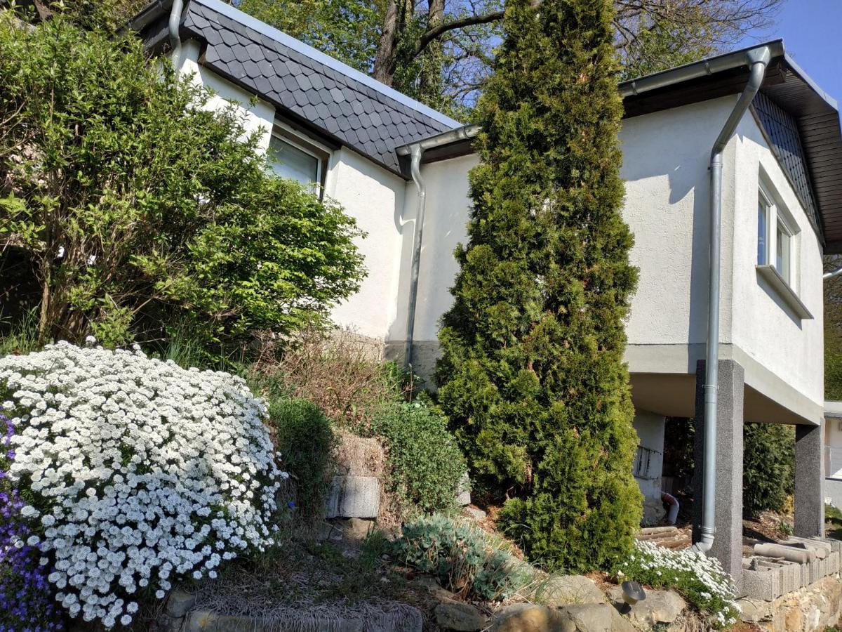Das Ferienhaus Mit Aussicht Pirna Kültér fotó