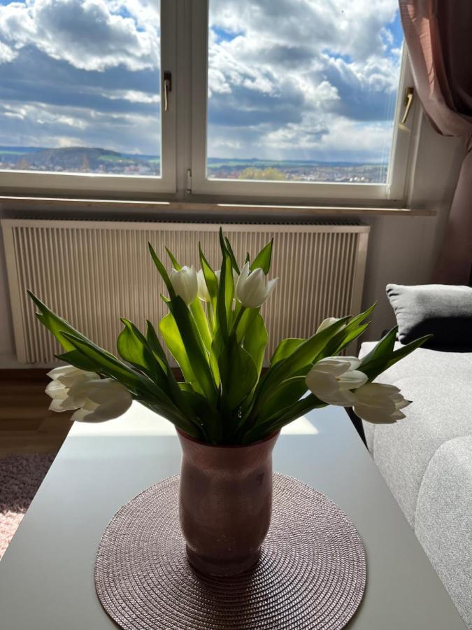 Das Ferienhaus Mit Aussicht Pirna Kültér fotó